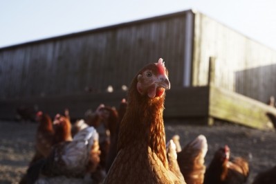 Griffiths: 'Levelling the playing field across industries, sectors and entire nations must take precedence if accessible and affordable food is the priority.' IMG: Getty, Ezra Bailey