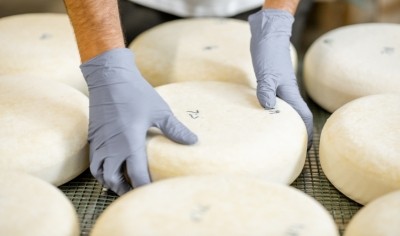 Dairy processing in focus