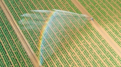 MEPs vote in favour of the Sustainable Use of Pesticides Regulation. Credit: Getty/Justin Paget