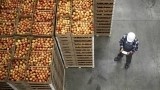 Food insecurity: navigating safety, quality and labour shortages in the modern food chain
