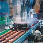 A new industrial strategy, featuring a new Food & Drink Manufacturing Council, was number one on the FDF's wishlist