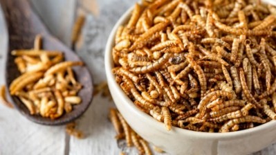 What should I be asking my lab to test when it comes to insect protein? Credit: Getty/ollo