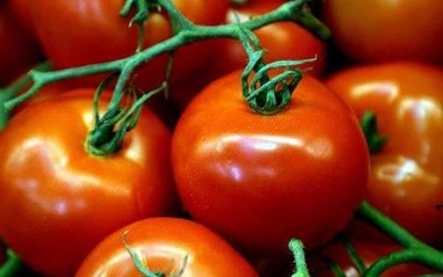 Poor weather in Spain and north Africa have spark fruit and veg shortages in the UK, mirroring similar events in 2017