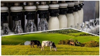 The Dairy Action Alliance was launched today at COP28. Credit: Getty (Top: Johnny Greig / Bottom: Lemanieh