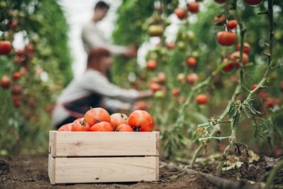 Government confirms 45,000 visas will be available for seasonal workers next year
