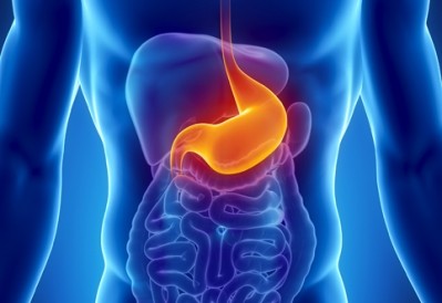 A ‘fat-busting’ microbe has been identified in healthy intestines that helps combat obesity
