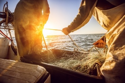 Falfish's systems enable it to trace customers' products back to catches made by individual boats, managing fluctuating stocks