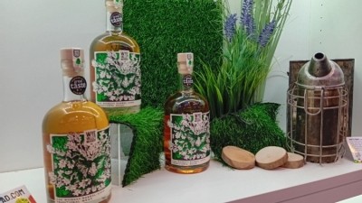 Hive Mind Mead won the Golden Fork Award for Wales in 2023