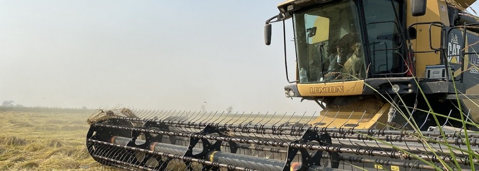 How can food manufacturers offer authentic products using rice while responding to consumer demands?