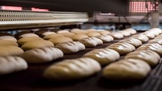 Industry report: Food for thought