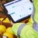 Datel using Sage X3