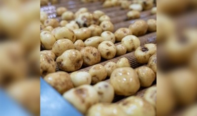 McCain has partnered with NatWest to support farmers switching to regenerative agriculture practices 