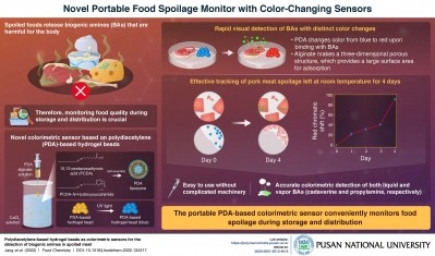 the Pusan research team has developed a bio-sensor that doesn't recquire advanced equipment or trained personnel to operate