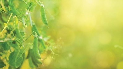 Plant-based solutions for cold cut meats