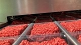 Reducing supermarket plastics: innovation vs image