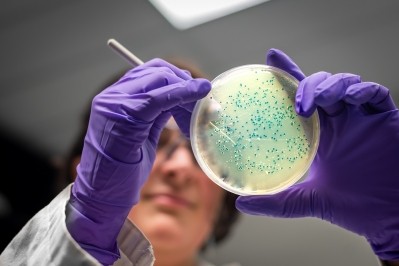 What lessons can be learned from two seperate outbreaks of salmonella in two chocolate factories in 2022?