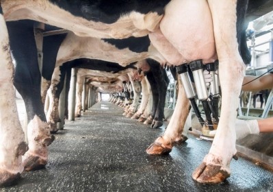 Swapping to a lower-fat type of milk or from cream to yogurt is relatively easy, academics claim