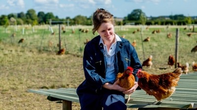 Tesco has committed £10m to the UK egg industry. Credit: Tesco