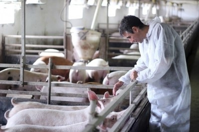The FSA is looking to ease the vet shortage in the UK