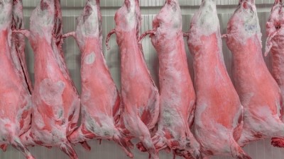 Data showed that 94% of sheep meat exported by the UK was sold to EU member states. Credit: Getty / asikkk