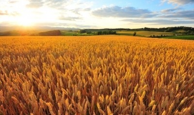 Input cost inflation has driven producers to raise prices at a record pace