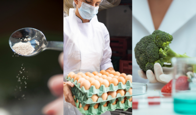 Yeast and enzymes play pivital roles in the development of new food products and the understanding of the gut microbiome