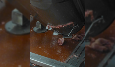 Pictured: The access panel door at the base of the hopper. Credit: HSE