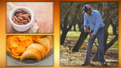 Your questions are answered by the sustainable snacking webinar's expert panel