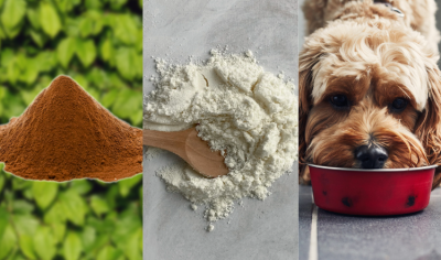 Left: OFI's Cascara made from coffee waste, Centre: Vegan Casein from Fooditive